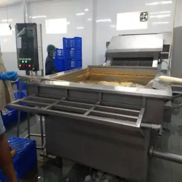 Raw Shrimp And Fish Washing Machine